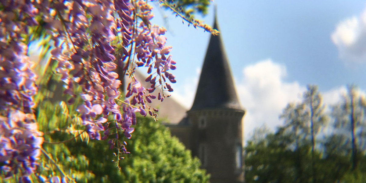 Chateaudela Motte Husson Angel Adoree